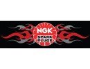 NGK Spark Plugs