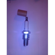NGK Solid SparkPlug