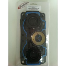 Complete Gasket kit for kawasaki sxr 800